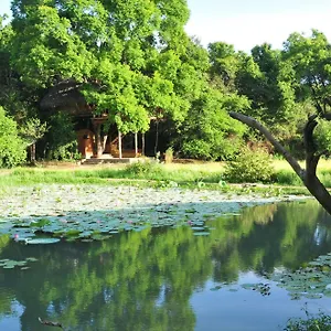 Back Of Beyond - Wild Haven , Sigiriya Sri Lanka